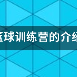 放飞梦想篮球训练营马笑林简介